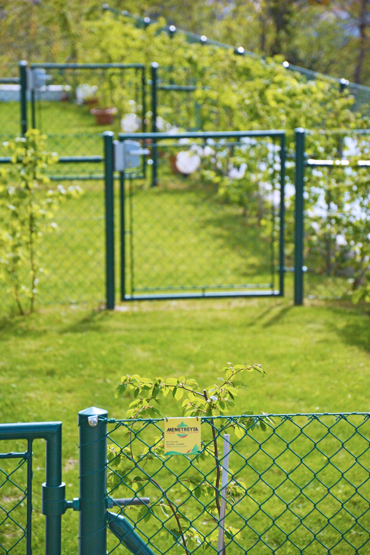 Private Equity: B+G Schweiz becomes largest Swiss landscaping business 